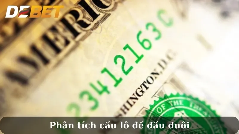 Đầu đuôi miền Bắc