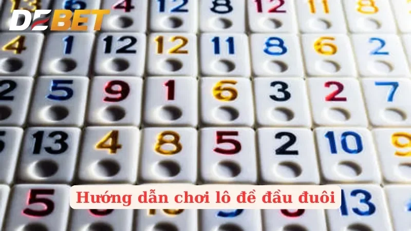 Hướng Dẫn Chơi Lô Đề Đầu Đuôi Cho Dân Chơi Chuyên Nghiệp