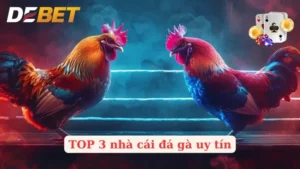 Cách Chọn Top 3 Nhà Cái Đá Gà Uy Tín Để Đảm Bảo Thắng Lớn